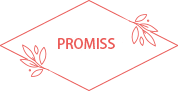 promiss
